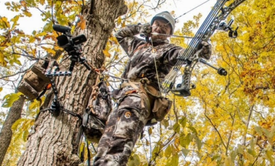 Man shooting a bow from a tree.