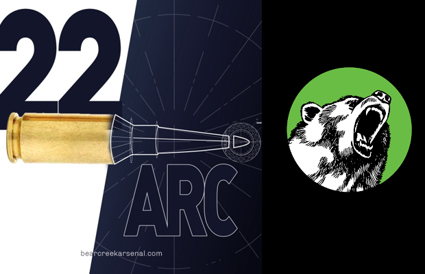 A .22 ARC round graphic.