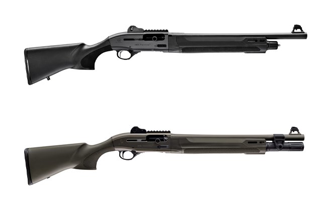 Two shotguns